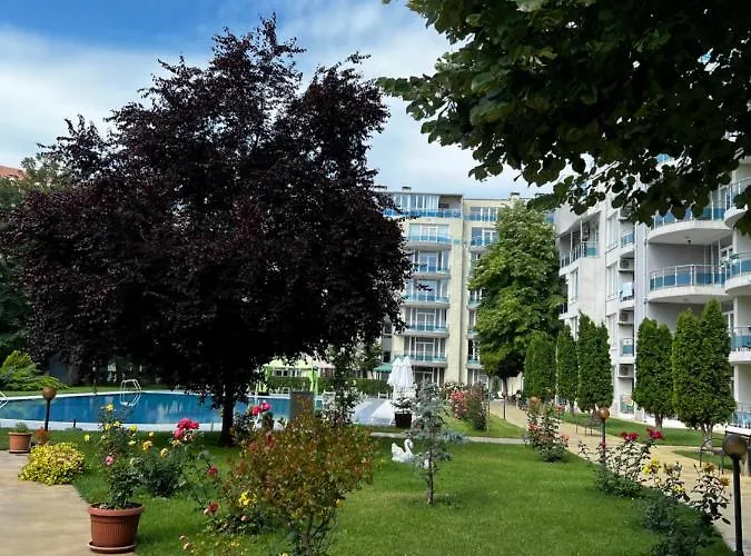 Modern Beachfront With Pool